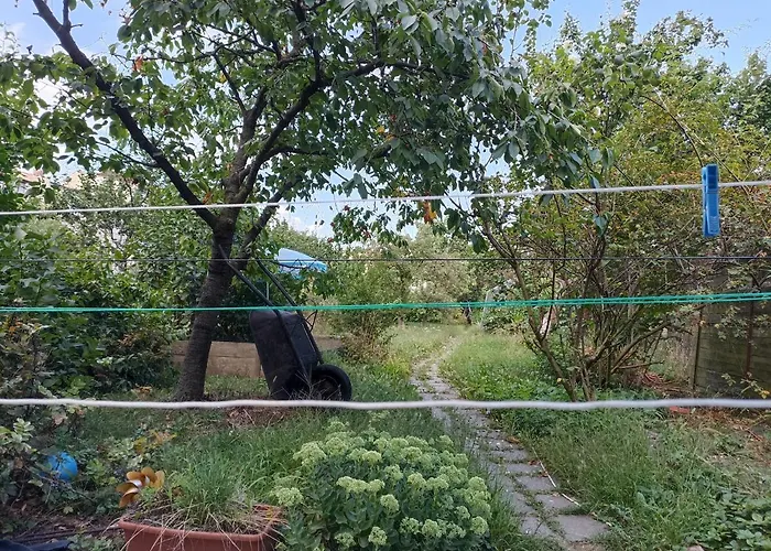 Stolcova Komarov